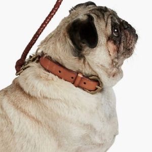 LUCKY BRAND Whipstitch Dog Collar Leather M NWT